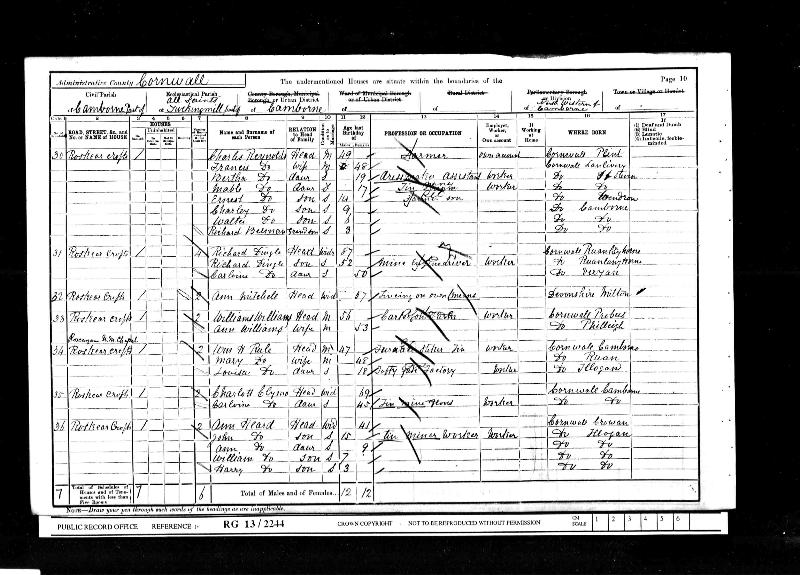 UKCensus 1901 Tuckingmill, Camborne, Cornwall RG13/2244/10 (Reynolds Charles)